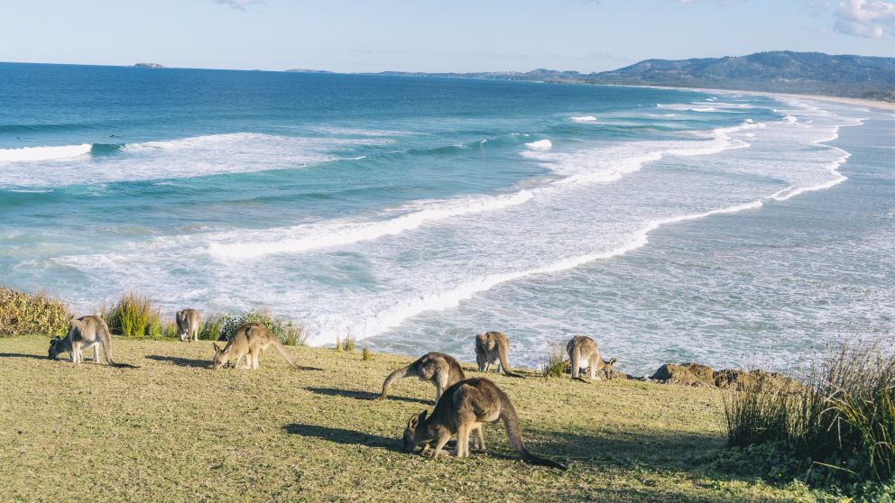 A Perfect 3 Day Nature Getaway in Coffs Harbour & Bellingen